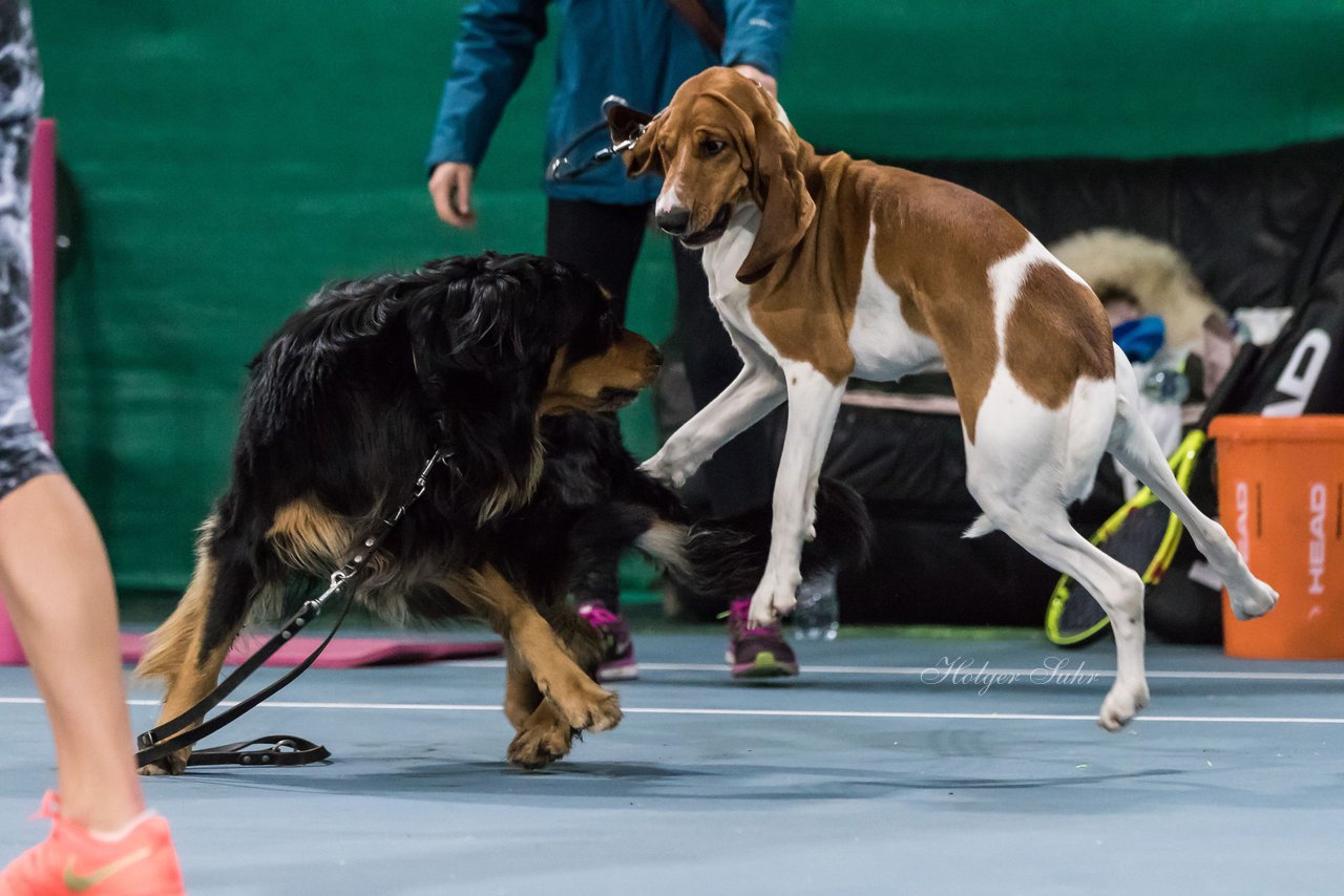 Training 81 - Carinas Autogrammstunde